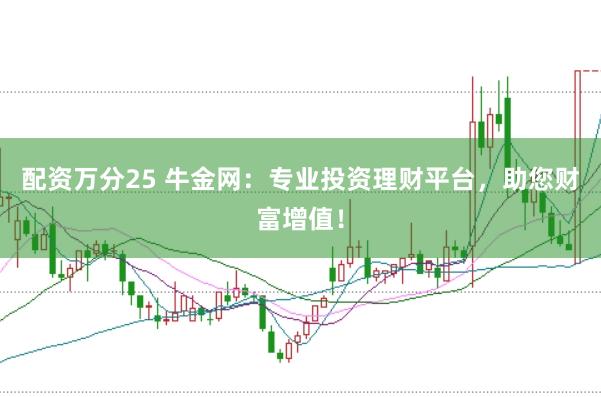 配资万分25 牛金网：专业投资理财平台，助您财富增值！