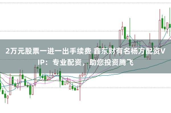 2万元股票一进一出手续费 鑫东财有名杨方配资VIP：专业配资，助您投资腾飞