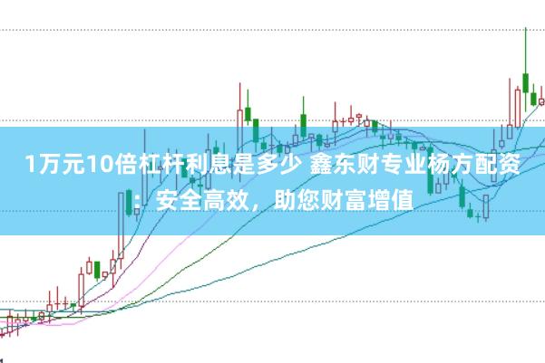 1万元10倍杠杆利息是多少 鑫东财专业杨方配资：安全高效，助您财富增值