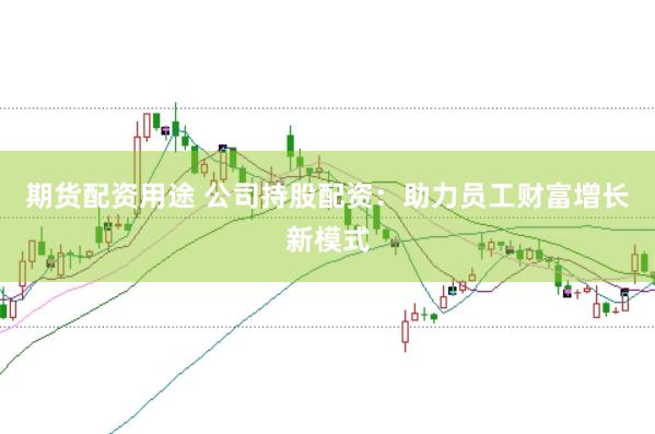 期货配资用途 公司持股配资：助力员工财富增长新模式