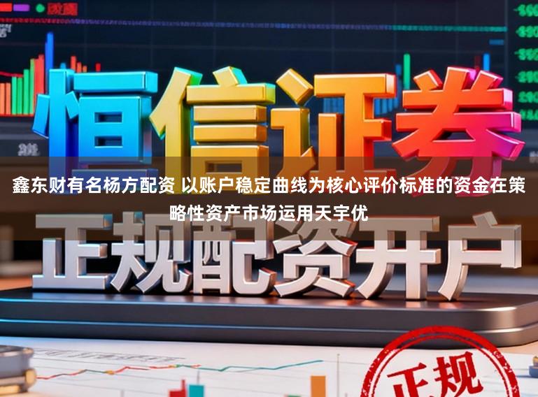 鑫东财有名杨方配资 以账户稳定曲线为核心评价标准的资金在策略性资产市场运用天宇优