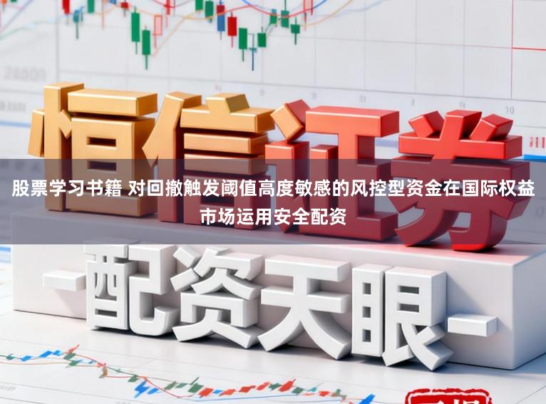 股票学习书籍 对回撤触发阈值高度敏感的风控型资金在国际权益市场运用安全配资