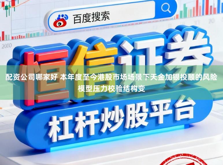 配资公司哪家好 本年度至今港股市场场景下天金加银投顾的风险模型压力校验结构变
